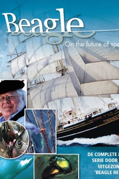 Постер: Voyage of Darwin’s Beagle