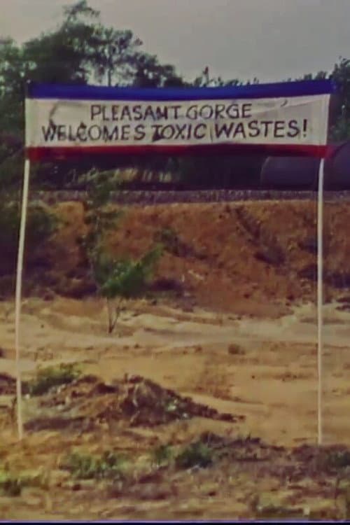 Постер: Toxic Town