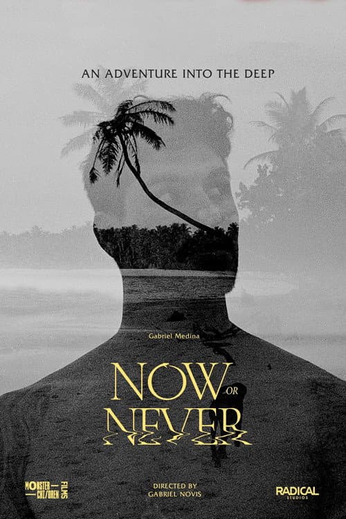 Постер: Now or Never