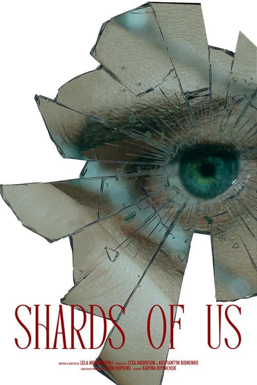Постер: Shards of Us