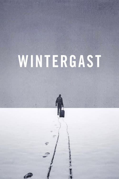 Постер: Wintergast