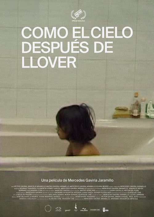 Постер: Como el cielo después de llover
