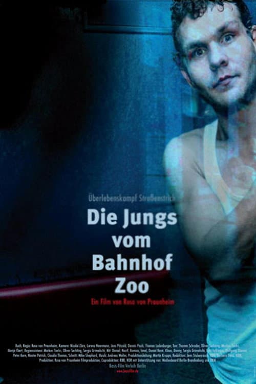 Постер: Die Jungs vom Bahnhof Zoo