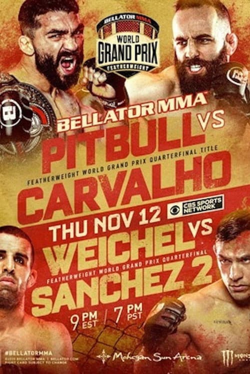 Постер: Bellator 252: Pitbull vs. Carvalho
