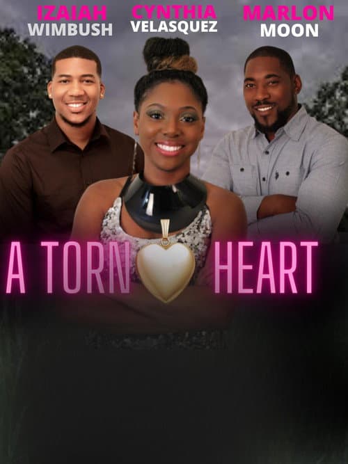 Постер: A Torn Heart