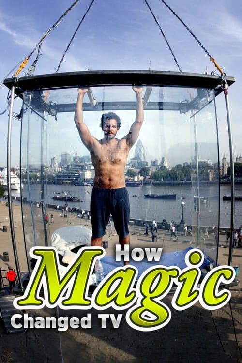 Постер: How Magic Changed TV
