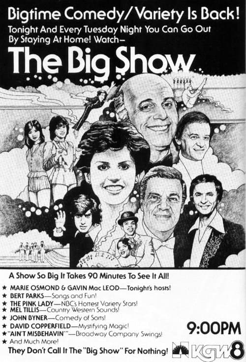 Постер: The Big Show