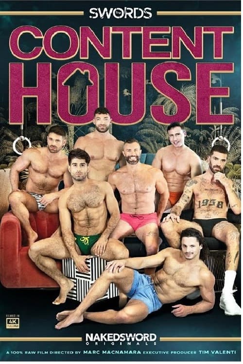 Постер: Content House: The Swords