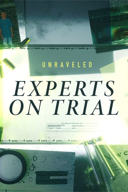 Постер: Unraveled: Experts on Trial