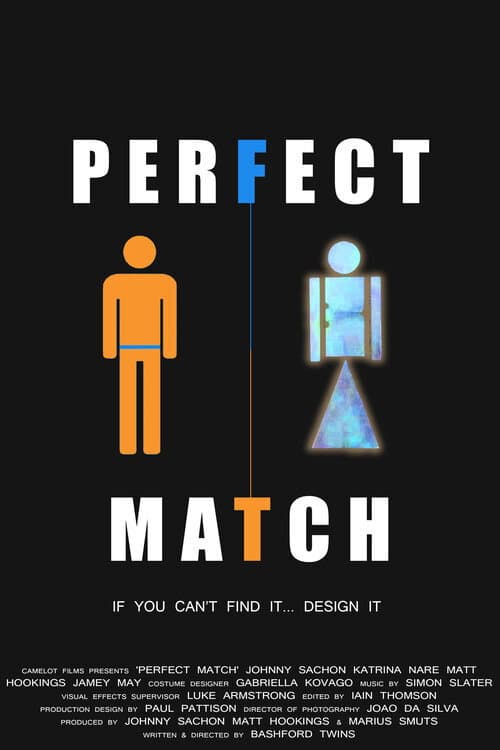 Постер: Perfect Match