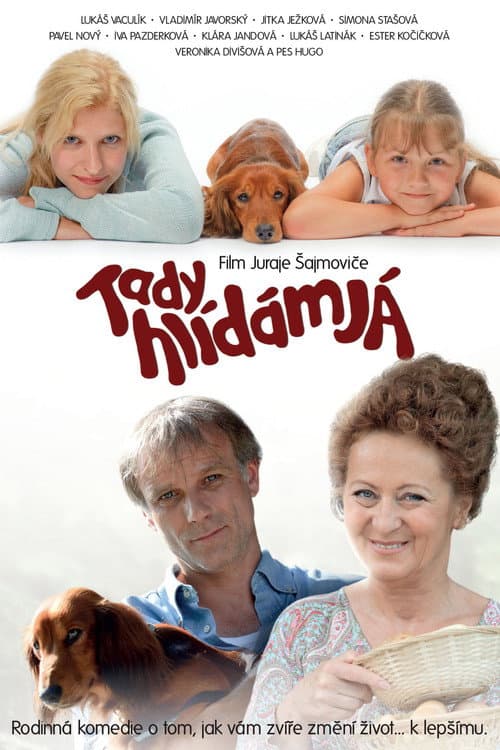 Постер: Tady hlídám já