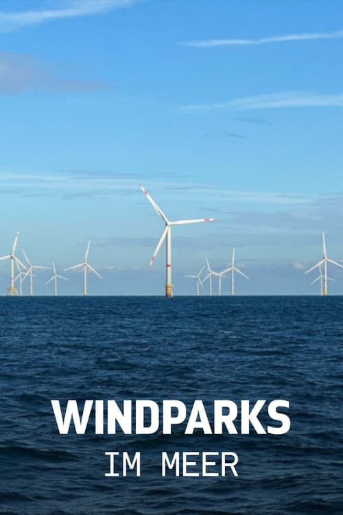 Постер: Windparks im Meer - Chance oder Risiko für die Natur?