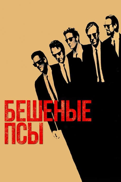 Кадр 5