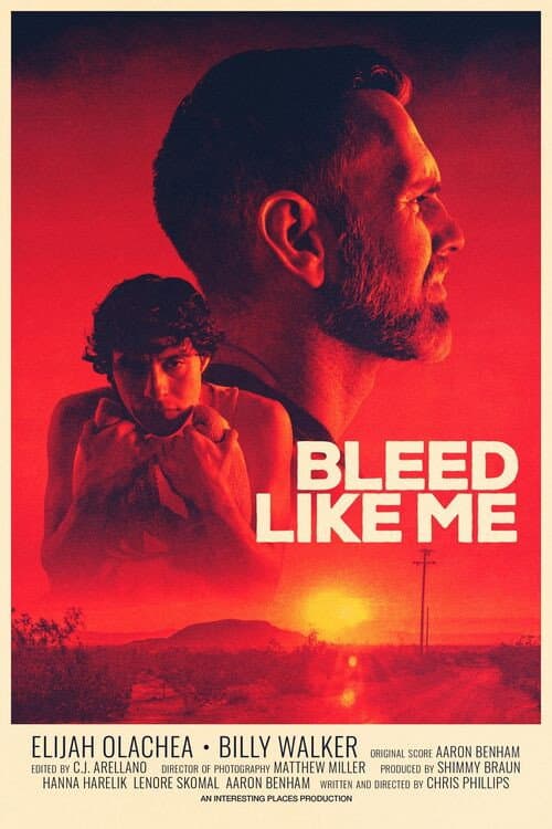 Постер: Bleed Like Me