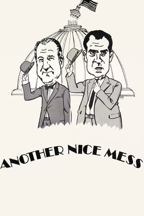 Постер: Another Nice Mess