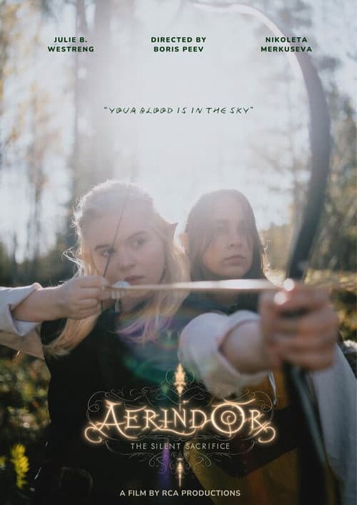Постер: Aerindor: The silent sacrifice
