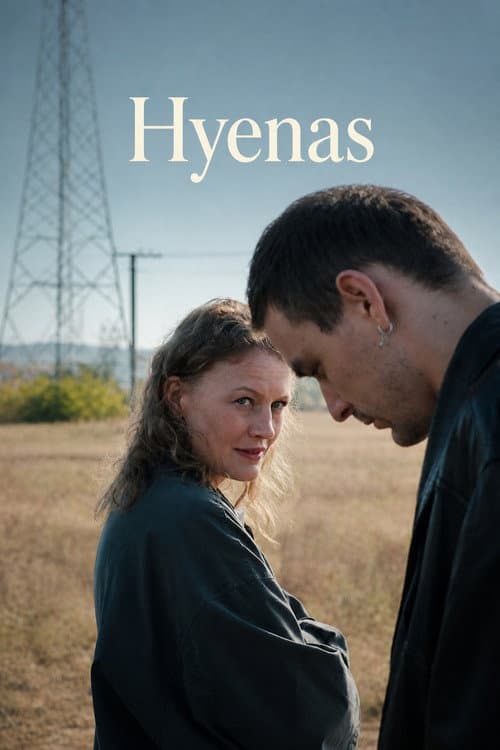 Постер: Hiénák