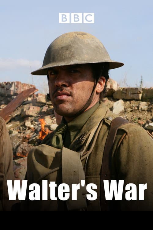 Постер: Walter's War