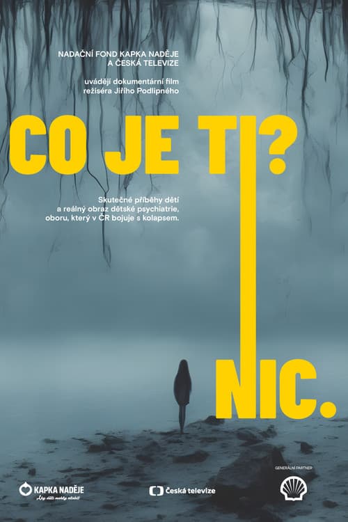 Постер: Co je ti? Nic.