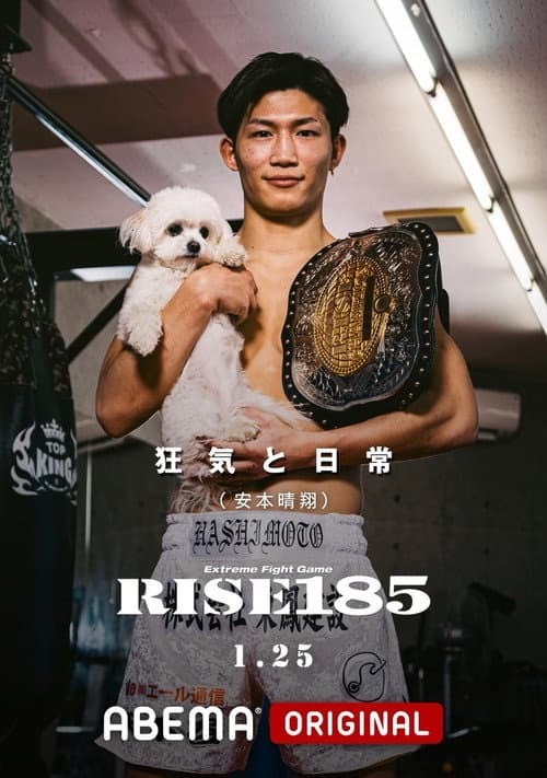Постер: RISE 185