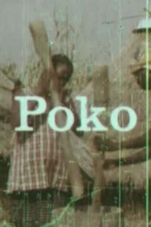 Постер: Poko