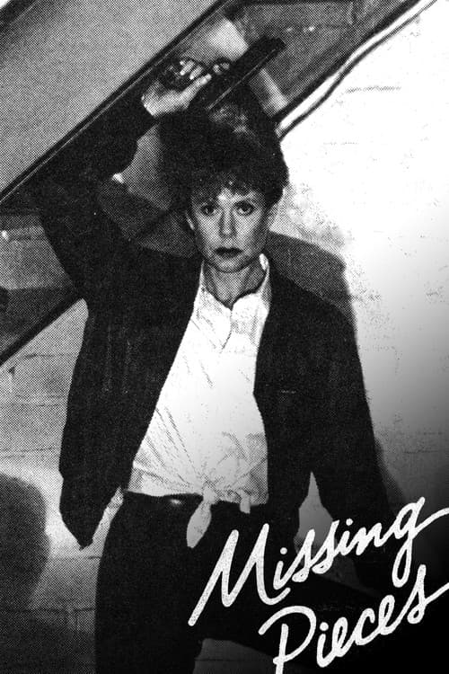 Постер: Missing Pieces