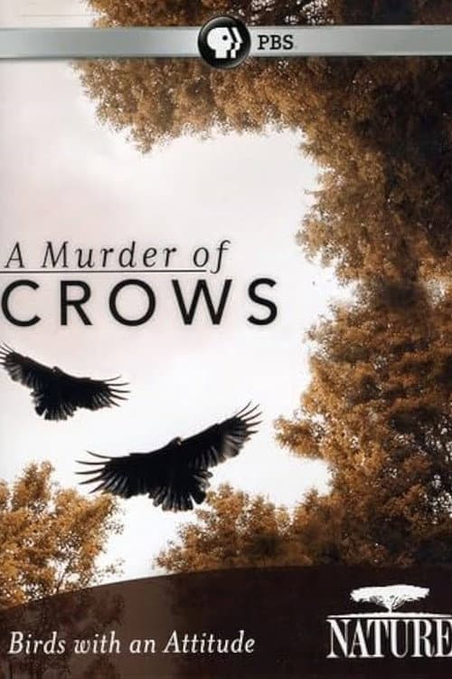 Постер: A Murder of Crows