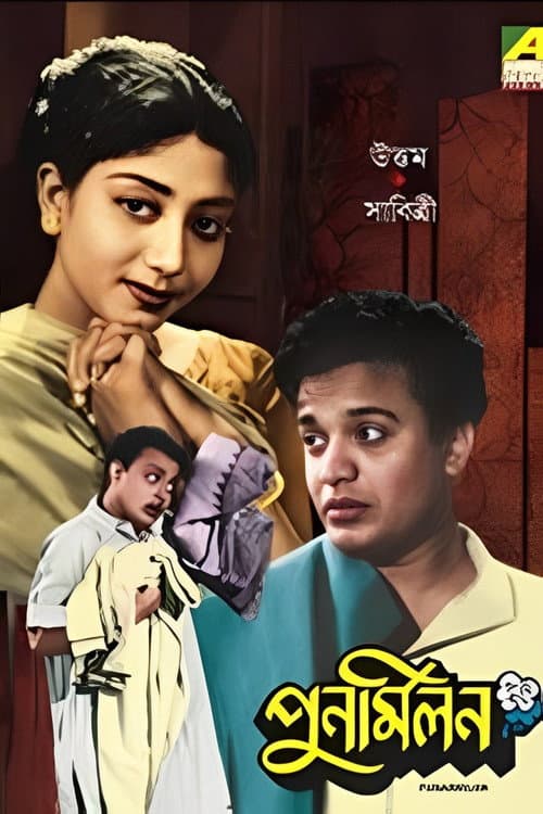 Постер: পুনর্মিলন