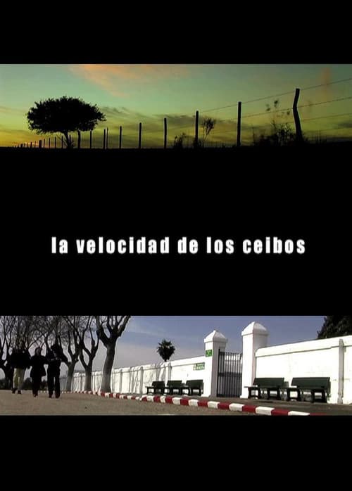 Постер: La Velocidad de los Ceibos