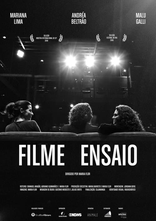 Постер: Filme Ensaio