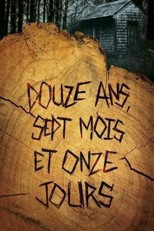 Постер: Douze ans, sept mois et onze jours