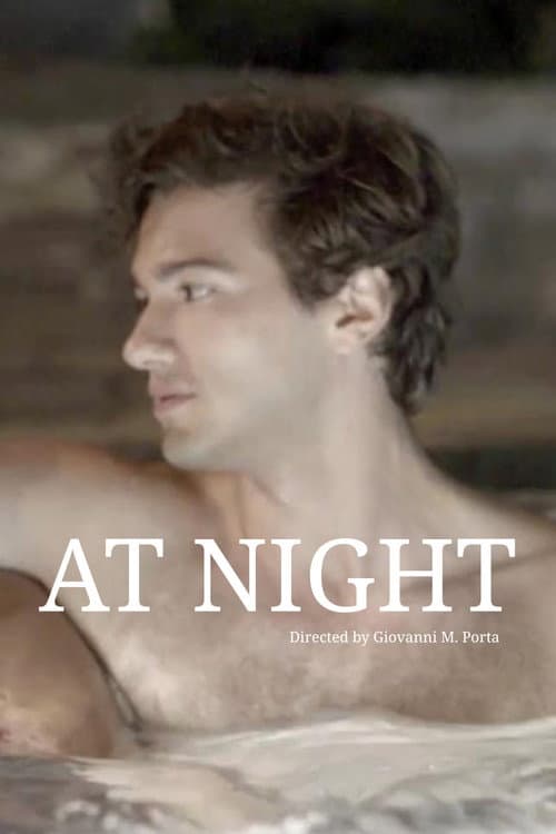 Постер: At Night