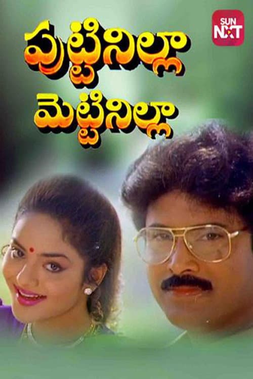Постер: పుట్టినిల్ల మెట్టినిల్ల