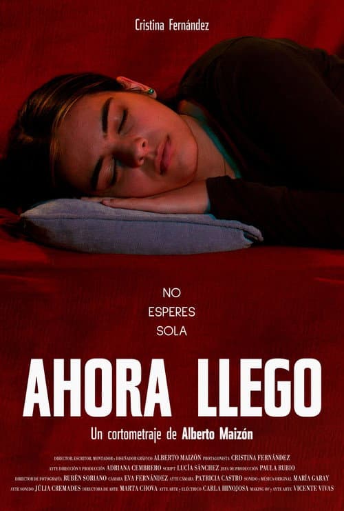 Постер: Ahora llego