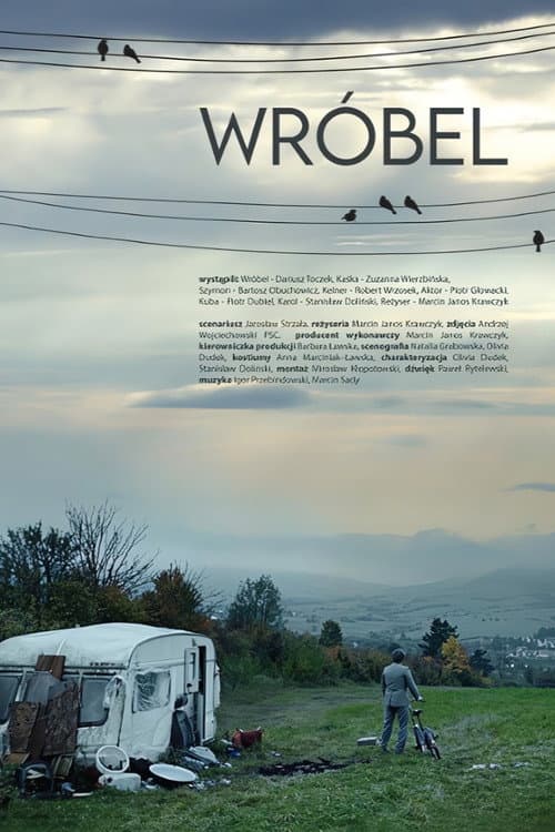 Постер: Wróbel