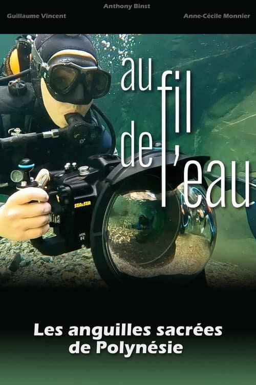Постер: Au fil de l'eau, les anguilles sacrées de Polynésie