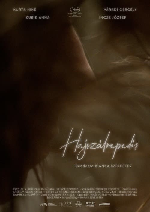 Постер: Hajszálrepedés