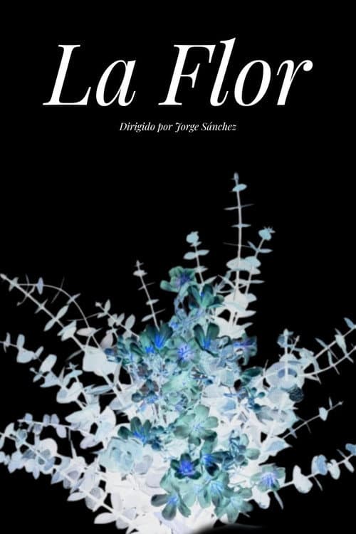 Постер: La Flor