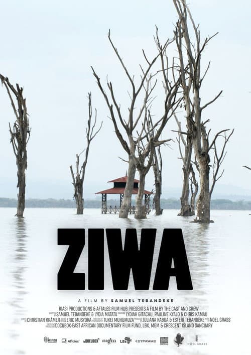 Постер: Ziwa