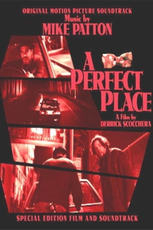 Постер: A Perfect Place