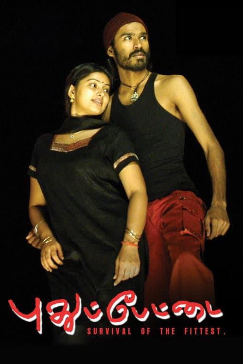 Постер: புதுப்பேட்டை