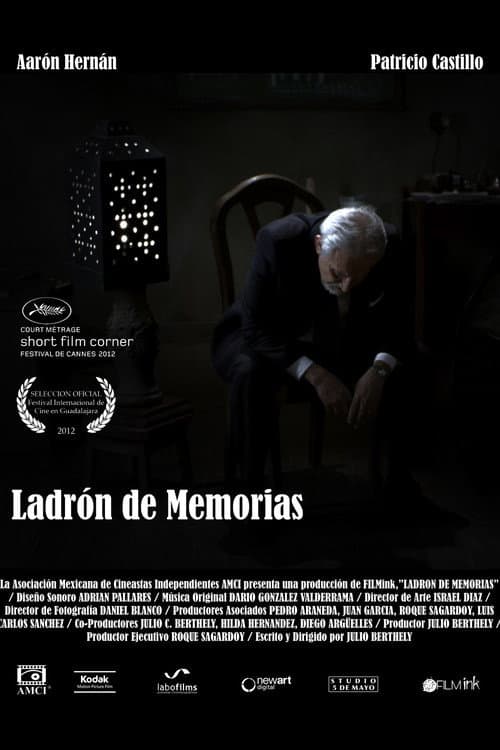 Постер: Ladrón de memorias