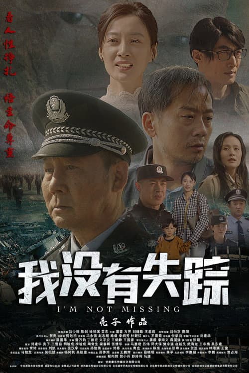 Постер: 我没有失踪