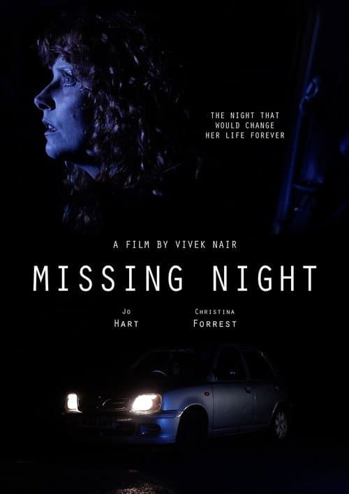 Постер: Missing Night