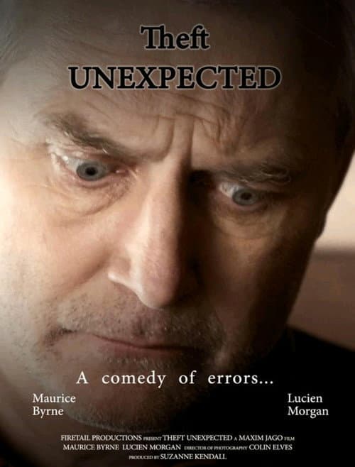 Постер: Theft Unexpected