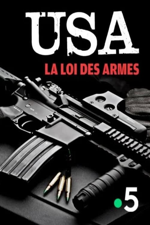 Постер: USA, la loi des armes