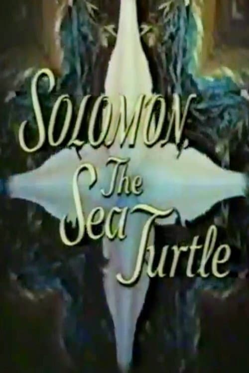 Постер: Solomon, the Sea Turtle