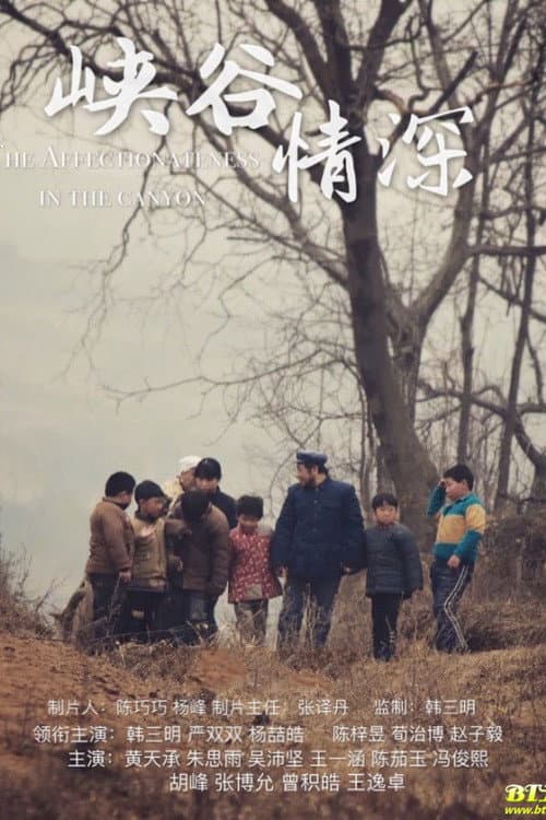 Постер: 峡谷情深
