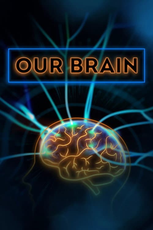 Постер: Our Brain