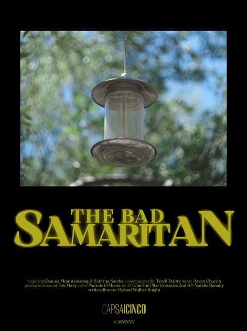 Постер: The Bad Samaritan